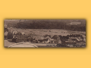 Bild418003  Villa Hoeser um 1915 zum Anwesen gehoerender Wald.jpg